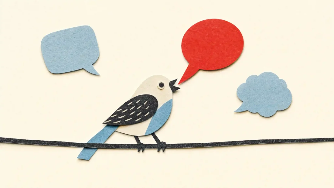 Papiercollage: ein Vogel auf einem Draht, aus dem eine rote Sprechblase kommt, daneben zwei blaue.